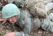 Стёпа гниёт на передовой: перехваченный разговор показал, как Россия «заботится» о раненых
