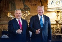 Трамп продвигает Орбана в генсеки ООН: США рассчитывают на поддержку России и Китая