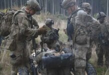 Вынести с поля боя без человека: американские военные испытали робота Stoat