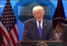 Трамп пугает американцев черными солнечными панелями