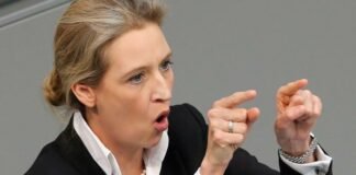 The Telegraph: Вайдель грозит ЕС референдумом о Dexit и называет поддержку Украины чушью