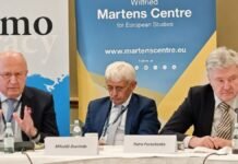 NB8 чрезвычайно эффективна, но НАТО является приоритетом, а Украина — его фактической «статьей 5», считает Порошенко